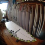 【The 51/50】STACEY SURFBOARDS